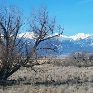 Meet your Posher, Rae anne